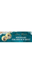 WIZYTÓWKA FOKI - HEL