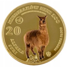 20 MIEDZIAKÓW MINI ZOO – ALPAKA SURI   - AWERS + REWERS - KOLOR - 2024