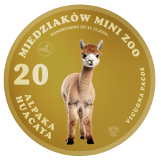 20 MIEDZIAKÓW MINI ZOO – ALPAKA NR 1   - AWERS - KOLOR - 2024