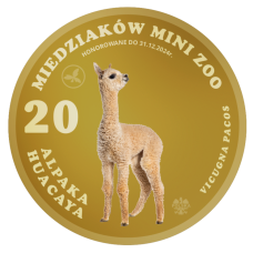 MAGNES – 20 MIEDZIAKÓW MINI ZOO - ALPAKA 2