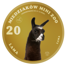 20 MIEDZIAKÓW MINI ZOO – LAMA   - AWERS - KOLOR - 2024