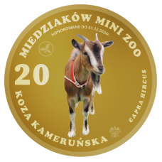 MAGNES – 20 MIEDZIAKÓW MINI ZOO - KOZA KAMERUŃSKA