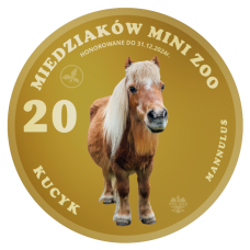 20 MIEDZIAKÓW MINI ZOO – KUCYK   - AWERS - KOLOR - 2024