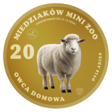 20 MIEDZIAKÓW MINI ZOO – OWCA DOMOWA - AWERS + REWERS - KOLOR - 2024