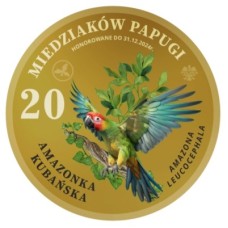 MAGNES – 20 MIEDZIAKÓW PAPUGI  – AMAZONKA - KUBAŃSKA