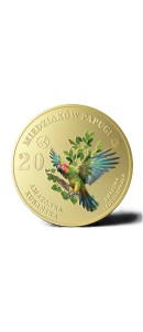 AMAZONKA