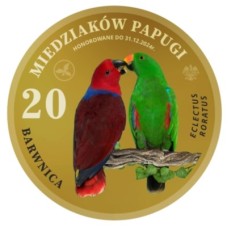 MAGNES – 20 MIEDZIAKÓW PAPUGI  – BARWNICA