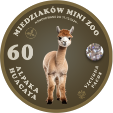 60 MIEDZIAKÓW MINI ZOO – ALPAKA NR 1 - AWERS + REWERS + CYRKONIA - KOLOR - 2024