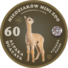 60 MIEDZIAKÓW MINI ZOO – ALPAKA NR 2 - AWERS + REWERS + CYRKONIA - KOLOR - 2024