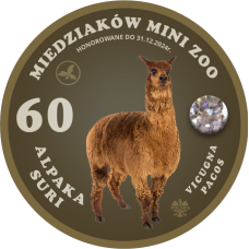 MAGNES – 60 MIEDZIAKÓW MINI ZOO - ALPAKA SURI