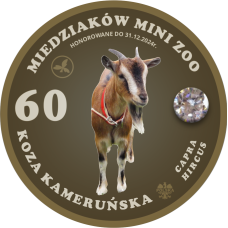 MAGNES – 60 MIEDZIAKÓW MINI ZOO - KOZA KAMERUŃSKA