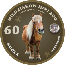 MAGNES – 60 MIEDZIAKÓW MINI ZOO - KUCYK