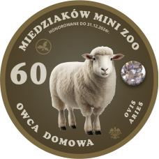 MAGNES – 60 MIEDZIAKÓW MINI ZOO - OWCA DOMOWA