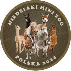 MAGNES – 60 MIEDZIAKÓW MINI ZOO - REWERS