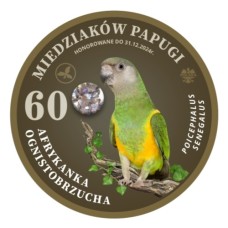 MAGNES – 60 MIEDZIAKÓW PAPUGI  – AFRYKANKA – OGNISTOBRZUCHA 