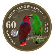 MAGNES – 60 MIEDZIAKÓW PAPUGI  – BARWNICA