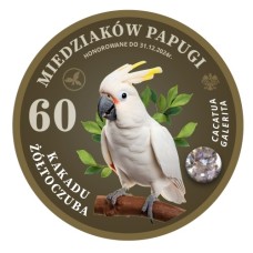 MAGNES – 60 MIEDZIAKÓW PAPUGI  – KAKADU - ŻÓŁTOCZUBA