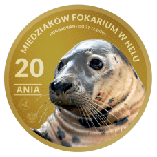 MAGNES – 20 MIEDZIAKÓW FOKARIUM W HELU – FOKA - ANIA