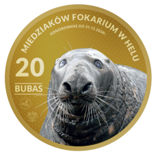 MAGNES – 20 MIEDZIAKÓW FOKARIUM W HELU – FOK - BUBAS