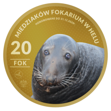 MAGNES – 20 MIEDZIAKÓW FOKARIUM W HELU – FOK - FOK