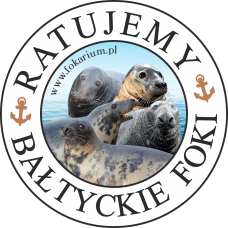 MAGNES – FOKARIUM W HELU – RATUJEMY BAŁTYCKIE FOKI - MIX FOK